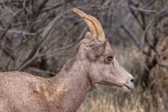 2022-10-Grand-Canyon-South-Rim-098