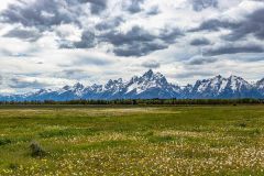 2022-06-1-Grand-Teton-NP-025