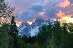 2022-06-1-Grand-Teton-NP-133