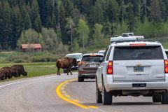 2022-06-1-Grand-Teton-NP-012