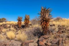 2023-07-Hardap-NWR-004