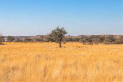 2023-07-Hardap-NWR-043