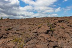 2022-03-Big-Island-Volcanos-NP-251