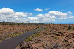 2022-03-Big-Island-Volcanos-NP-262