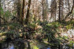 2022-09-Olympic-NP-187-Pano