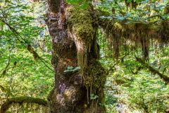 2022-09-Olympic-NP-198