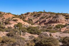 2023-06-Quebrada-de-Humahuaca-080