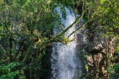 2023-06-Iguazu-NP-034