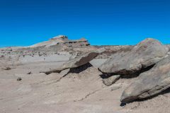 2023-05-Ischigualasto-PP-043