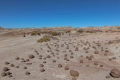 2023-05-Ischigualasto-PP-047