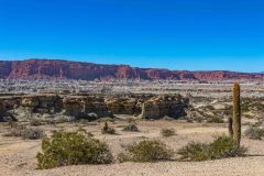 2023-05-Ischigualasto-PP-077