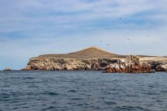 2022-11-Islas-Ballestas-RN-109