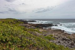 2022-04-Oahu-Kaena-Point-04-