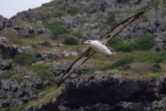 2022-04-Oahu-Kaena-Point-14-