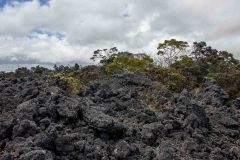 2022-03-Big-Island-Kaulana-Manu-trail-31-HDR