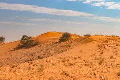 2023-07-Kgalagadi-6-131