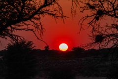 2023-07-Kgalagadi-8-004