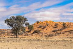 2023-07-Kgalagadi-9-56