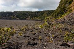 2022-03-Big-Island-Volcanos-NP-168