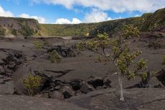 2022-03-Big-Island-Volcanos-NP-194