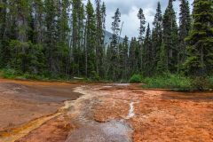 2022-07-Kootenay-NP-216-HDR