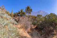 2023-05-La-Campana-NP-14-Pano