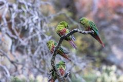 2023-03-Patagonia-NP-376