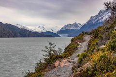 2023-02-Torres-del-Paine-0595