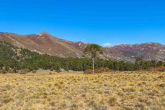 2023-04-Laguna-Verde-Lanin-NP-020