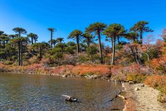 2023-04-Laguna-Verde-Lanin-NP-021