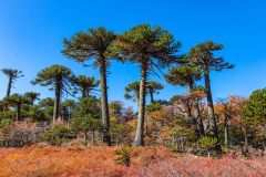 2023-04-Laguna-Verde-Lanin-NP-051