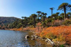 2023-04-Laguna-Verde-Lanin-NP-088