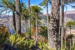 2023-04-Laguna-Verde-Lanin-NP-119