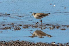 2023-04-Laguna-Verde-Lanin-NP-128