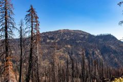 2022-10-Lassen-Volcanic-NP-069