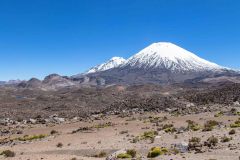 1_2022-12-Lauca-114