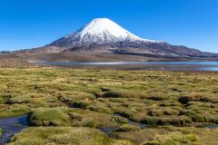 2022-12-Lauca-029