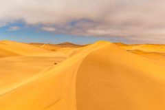 2023-08-Desert-life-196-Pano