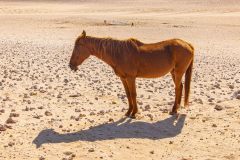 2023-08-Luderitz-2-69