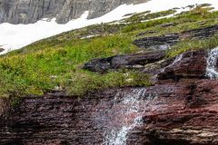 2022-06-Glacier-NP-552