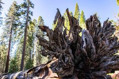 2022-10-Yosemite-NP-209-HDR