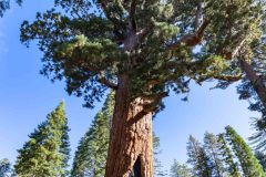 2022-10-Yosemite-NP-243-Pano