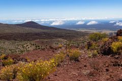 2022-03-Big-Island-Mauna-Kea-09