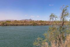 2022-04-Colorado-river-074