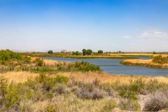 2022-04-Colorado-river-078