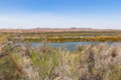 2022-04-Colorado-river-094