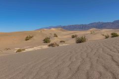 2022-04-Death-Valley-233