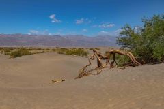 2022-04-Death-Valley-265