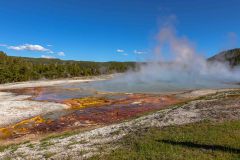 2022-06-Yellowstone-860