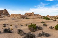 2022-04-Joshua-tree-NP-043-Pano